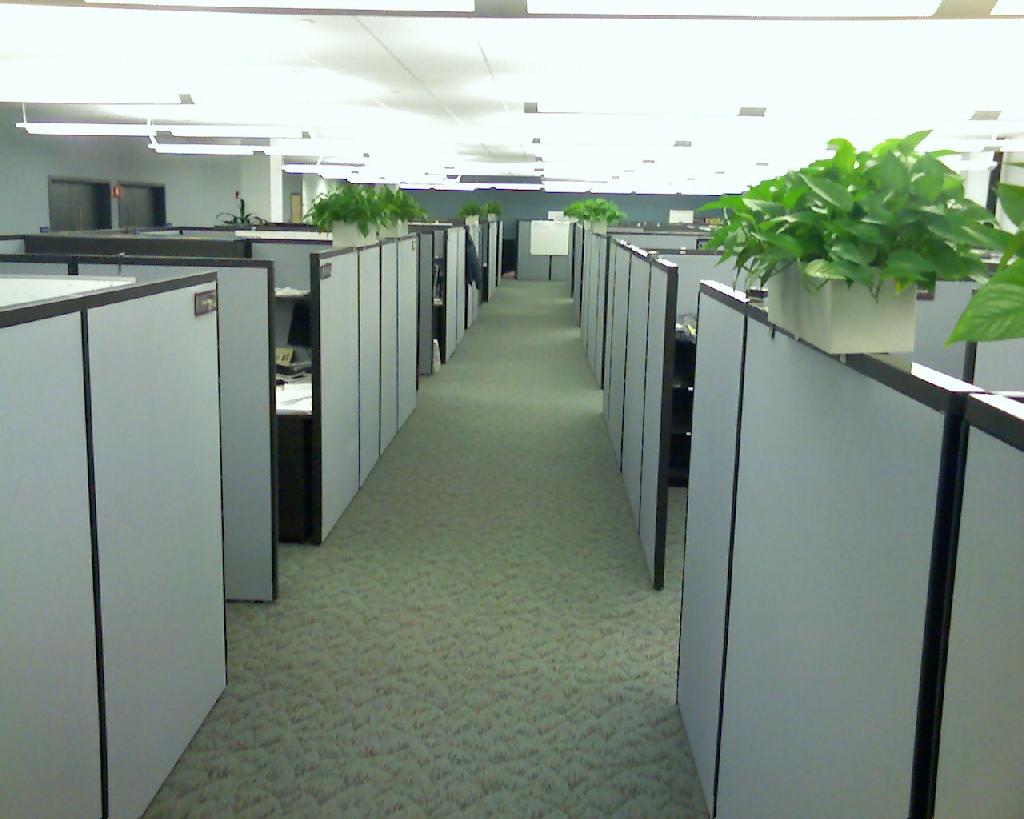 picture-cubicles